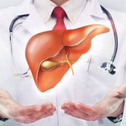 Best Gastroenterologist in Betul
