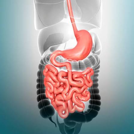 Best Gastroenterologist in Itarsi
