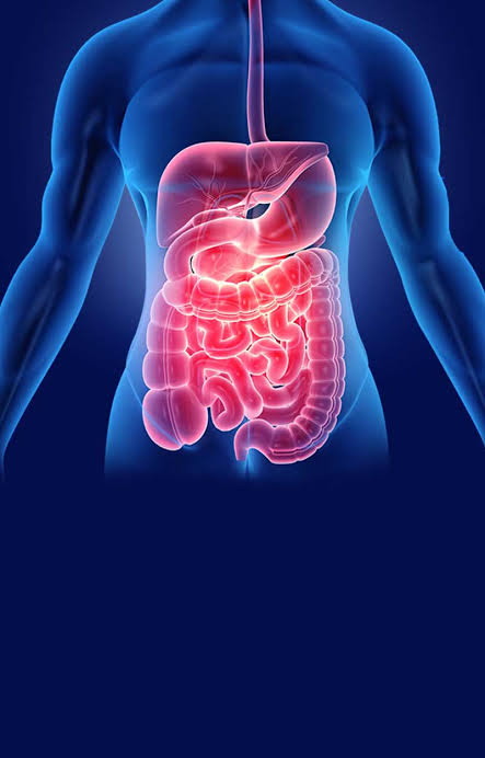 Best Gastroenterologist in Seoni