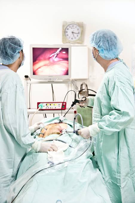 Colonoscopy Doctor in Rewa
