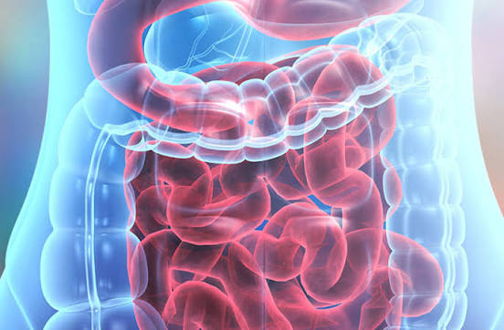 Digestive Disease Specialist In Nagpur