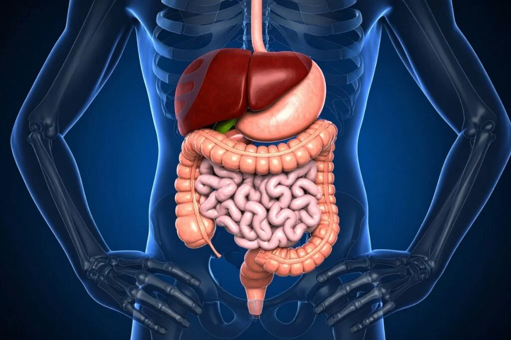 Digestive Disease Specialist in Chhindwara
