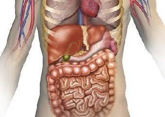 Digestive Disease Specialist in Itarsi