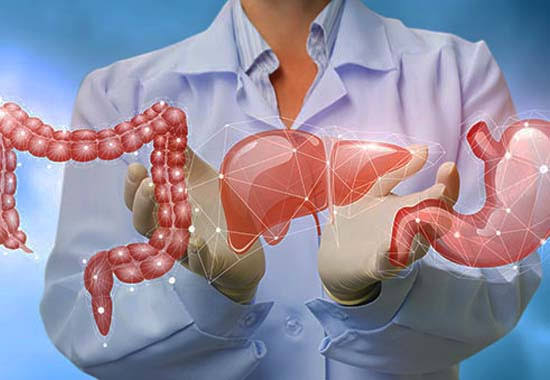 Digestive Disease Specialist in Seoni