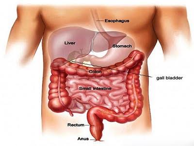 Gastrointestinal Surgery In Nagpur
