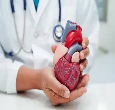 Hepatologist In Betul