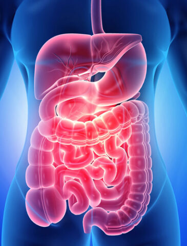 Best gastroenterologist in gondia 1
