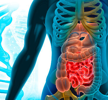 Best gastroenterologist in harda