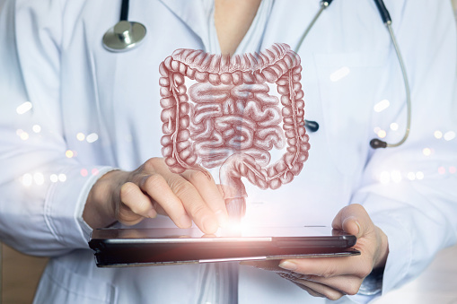 Best gastroenterologist in harda