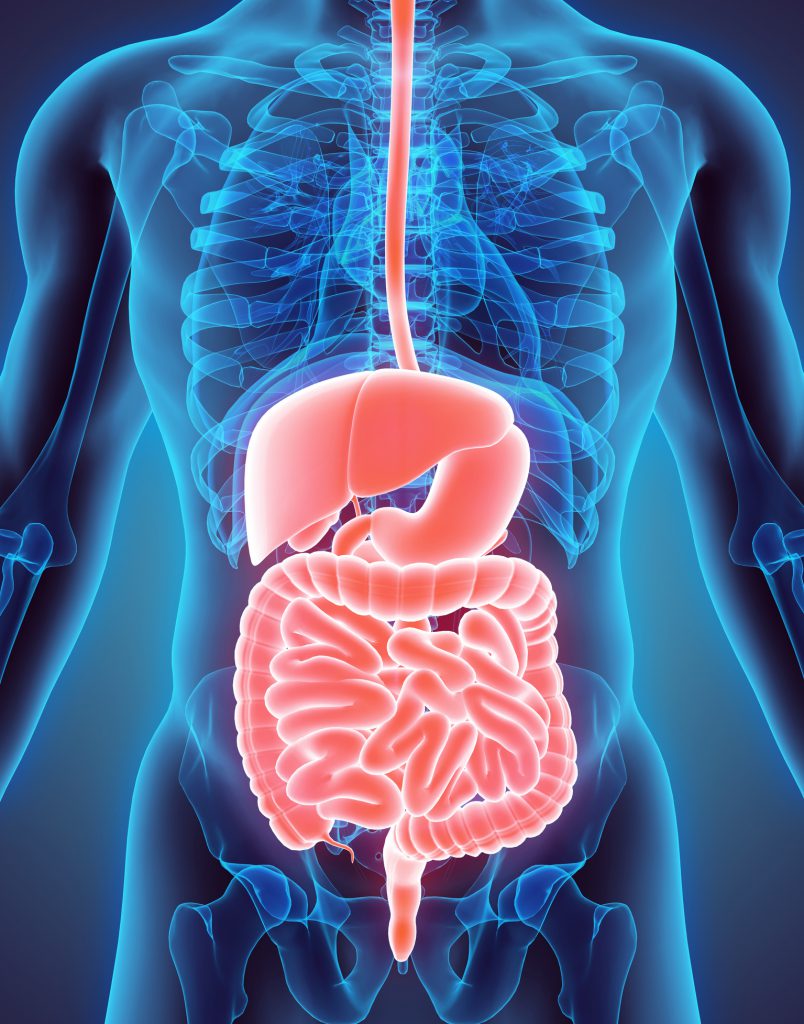 Colonoscopy doctor in bhopal