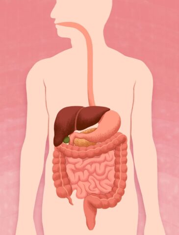 Digestive disease specialist in gadchiroli
