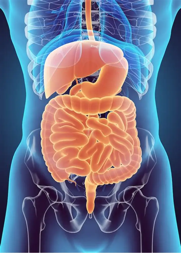 Digestive disease specialist in bhopal