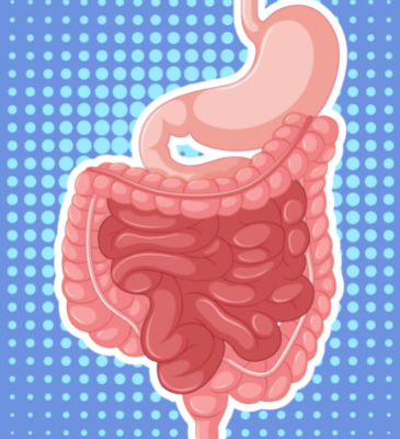 Digestive disease specialist in sagar