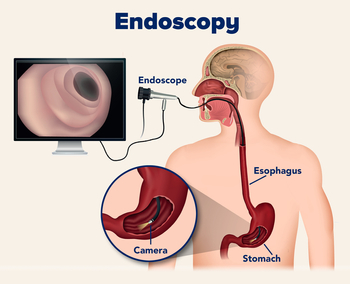 Endoscopy specialist in adilabad
