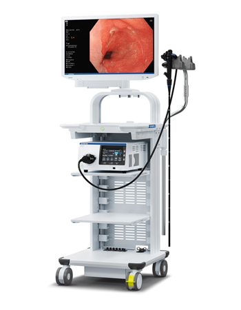 Endoscopy specialist in bhopal