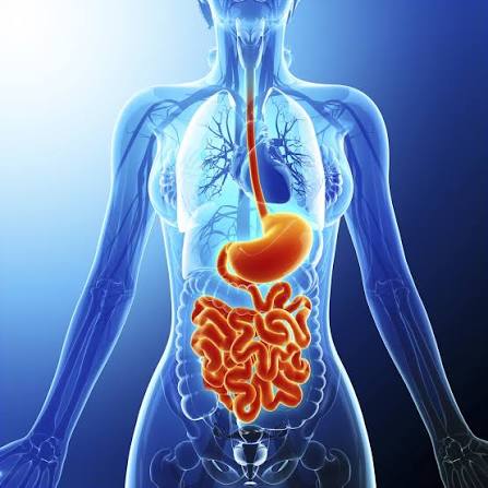 GI Specialist in Jabalpur