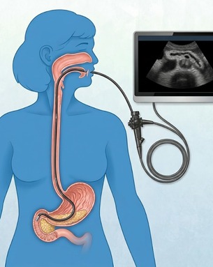 Gi Specialist in gadchiroli
