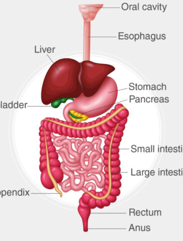 Gastrointestinal Specialist in Adilabad