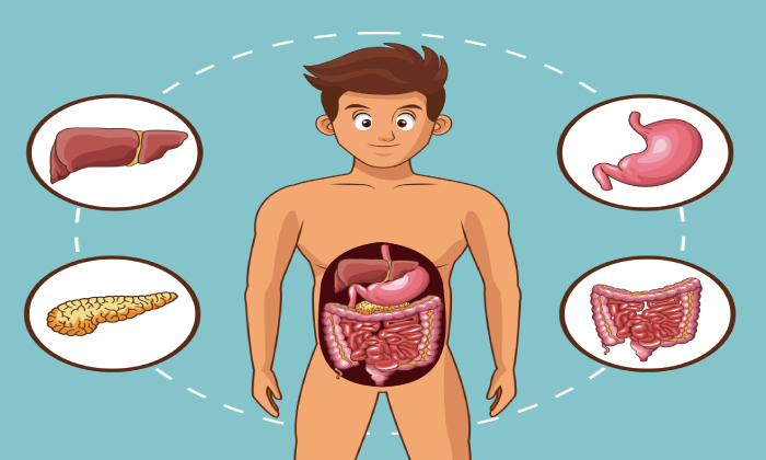 Gastrointestinal Specialist in Yavatmal