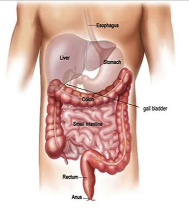 Gastrointestinal specialist in amravati