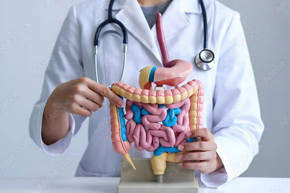 Gastrointestinal specialist in bhandara