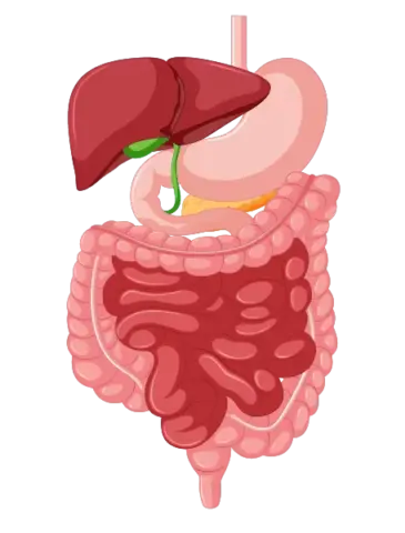 Gastrointestinal specialist in chandrapur