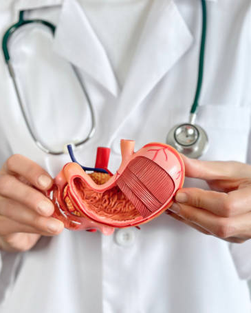 Gastrointestinal specialist in katni