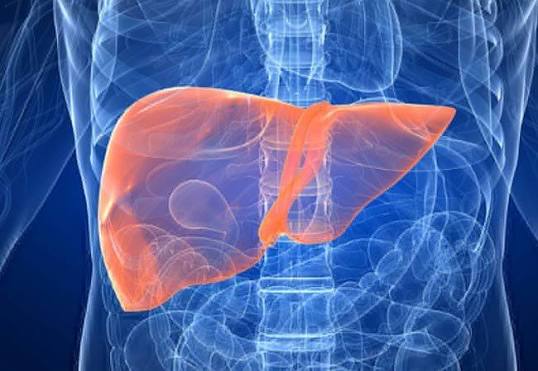 Liver Specialist In Jabalpur