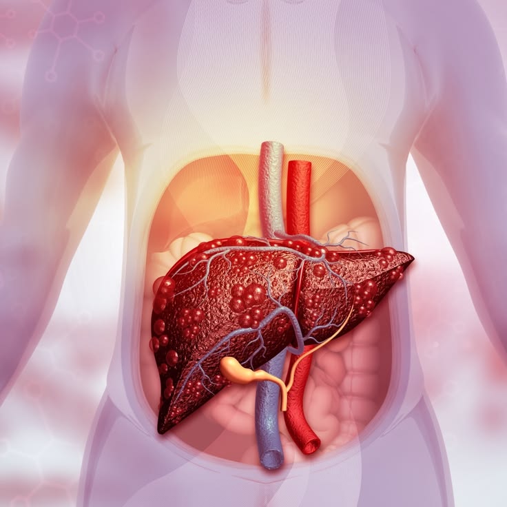 Liver Specialist In Mandla