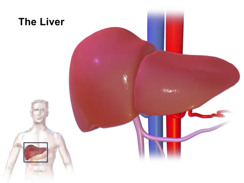 Liver specialist in adilabad